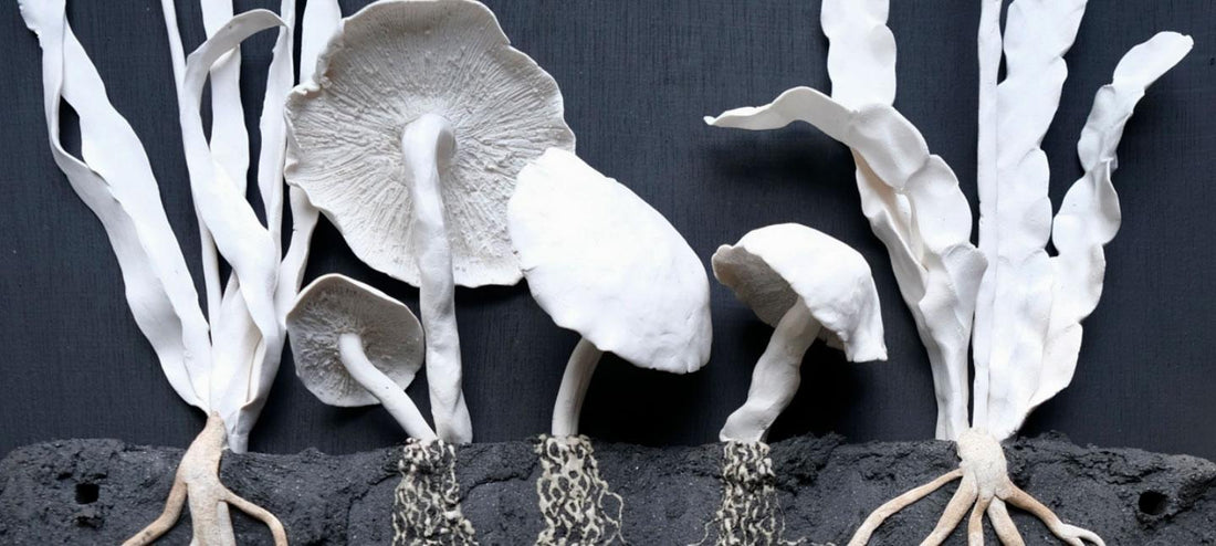 SOIL: The world at your feet exhibition (London)