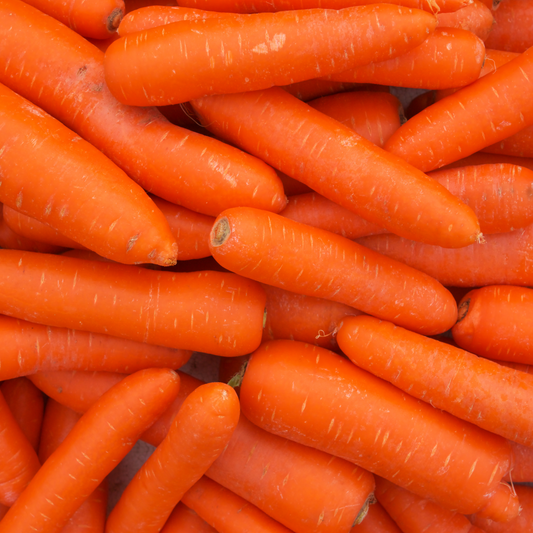 Sowing and Growing Carrots