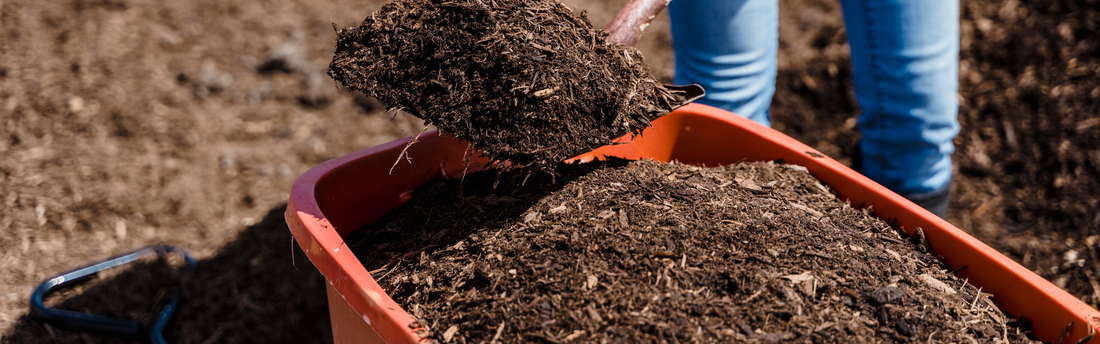 A New Approach - Converting to No-Dig