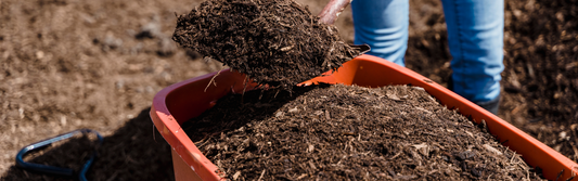 A New Approach - Converting to No-Dig