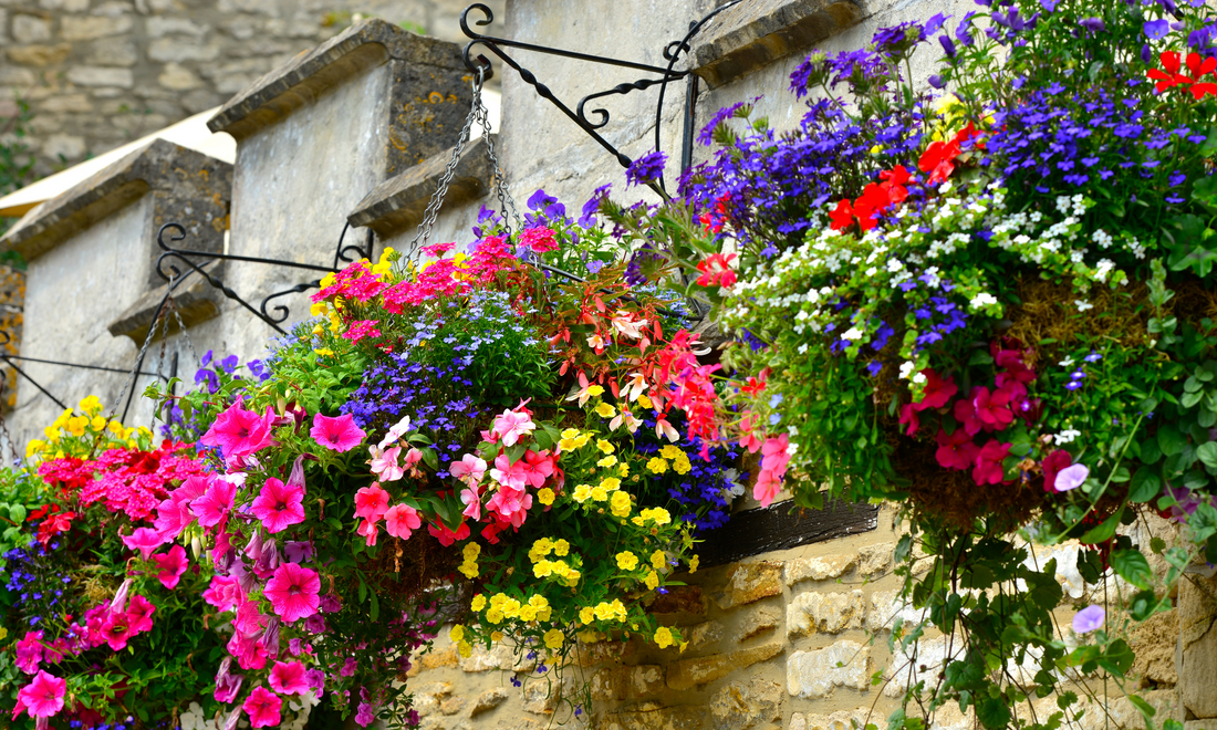 RHS Britain in Bloom 2024 Finalists Announced
