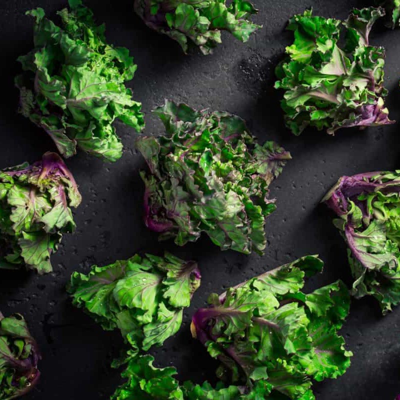 Sowing and Growing Kalettes