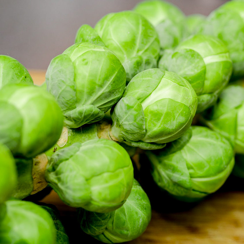 Sowing and Growing Brussels sprouts