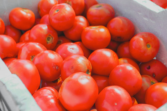 Tomato Growing Made Simple: A Beginner’s Step-by-Step Guide